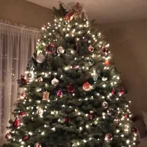 Meet your Posher, Doreedoreen